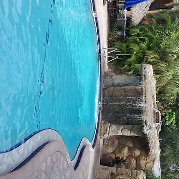 Coconut Cove All-suite Hotel Clearwater Beach