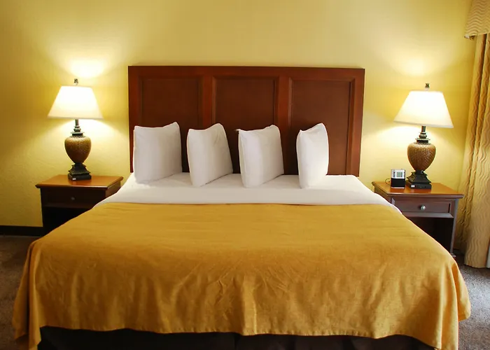Hotel Coconut Cove All-suite Clearwater Beach